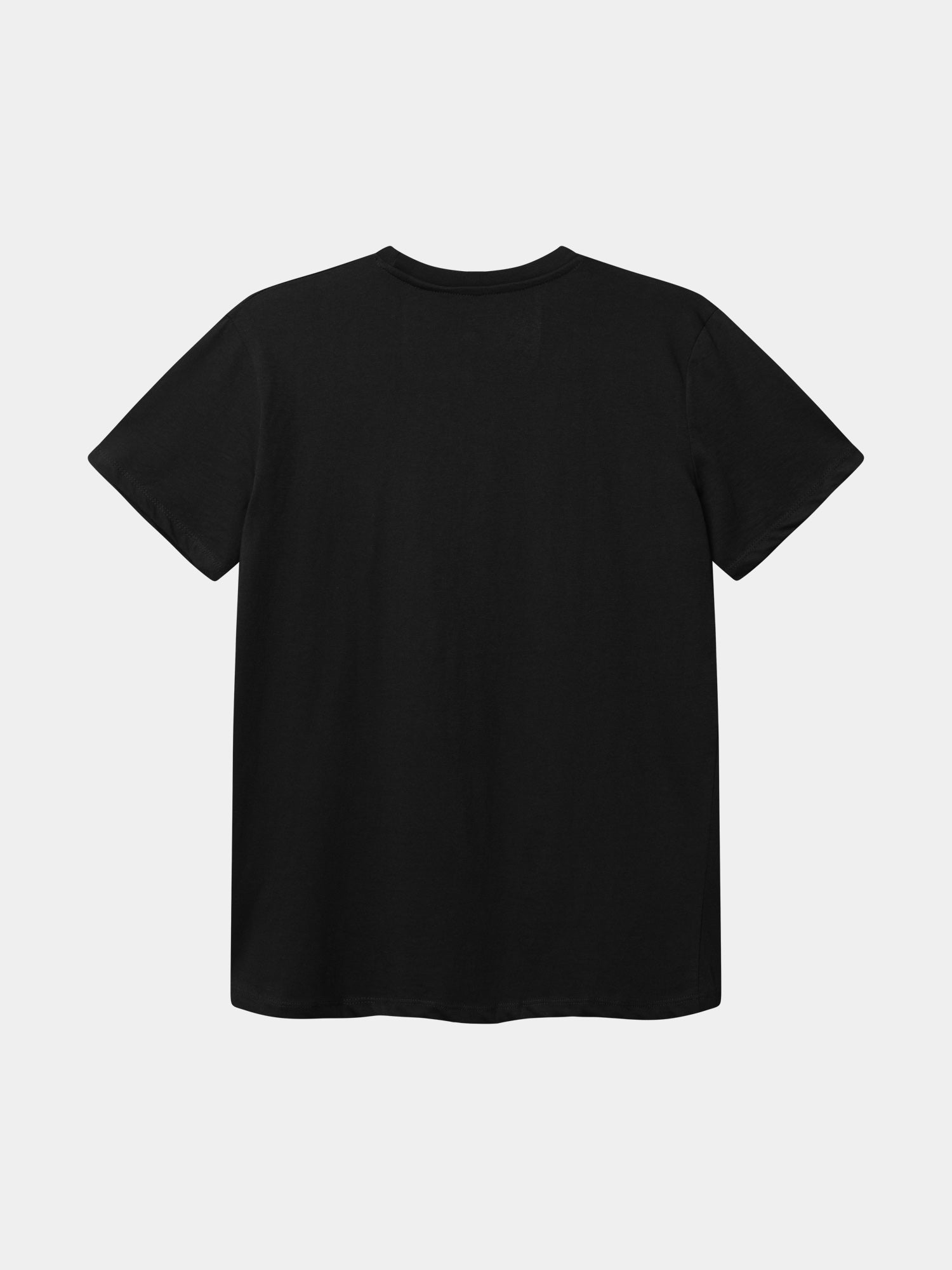 T-shirt svart Skåne